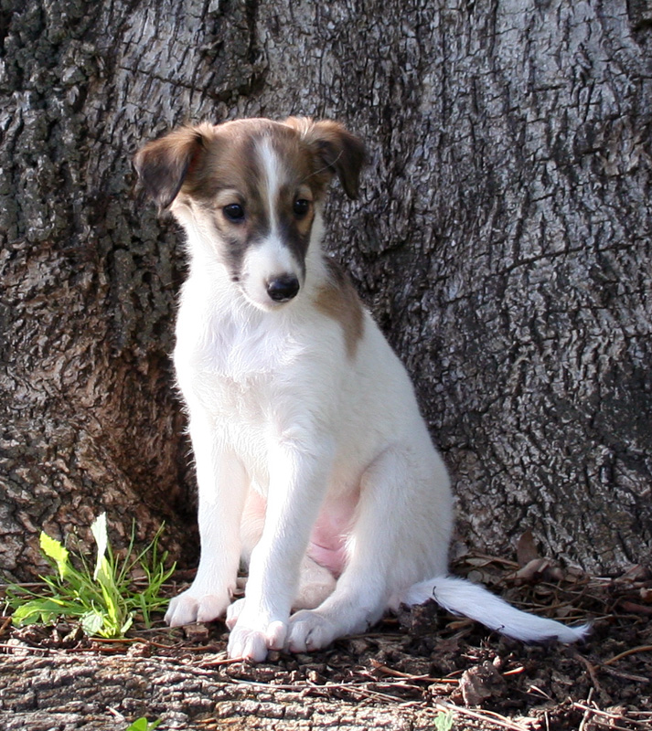 5 weeks - Girl 3 right